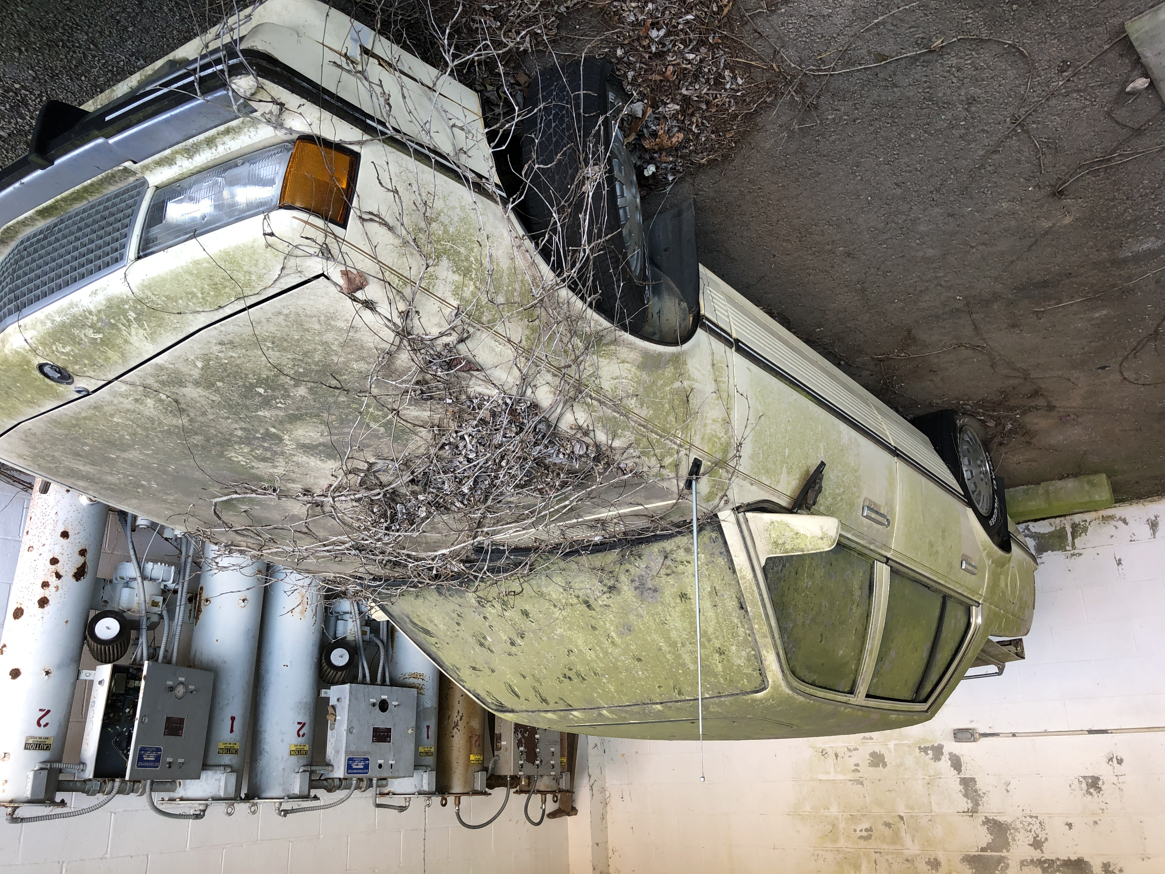 old car and dehumidifiers